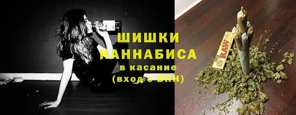 мдпв Верея