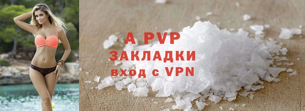 мдпв Верея